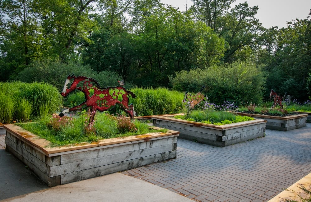 2024_07_19EOS 5DS R0221210001492274.jpg (561 KB)